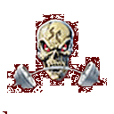 skull.gif (5135 bytes)